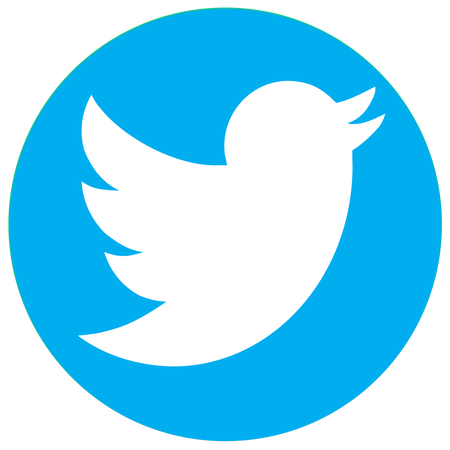 Twitter Logo
